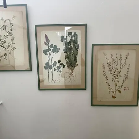 公寓 Nel Cuore Di *